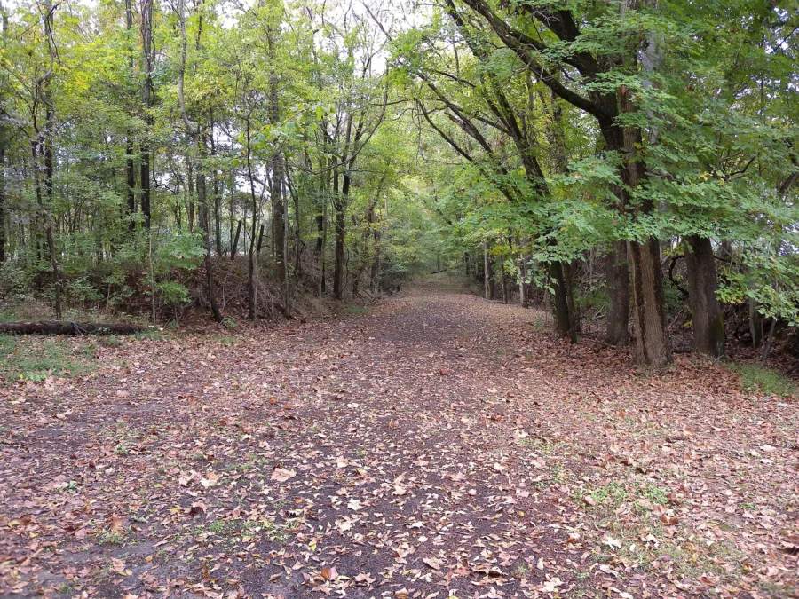 Historic trail trace at Port Royal State Historic Park in Adams, Tennessee