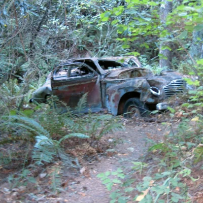 Portola Redwoods State Park