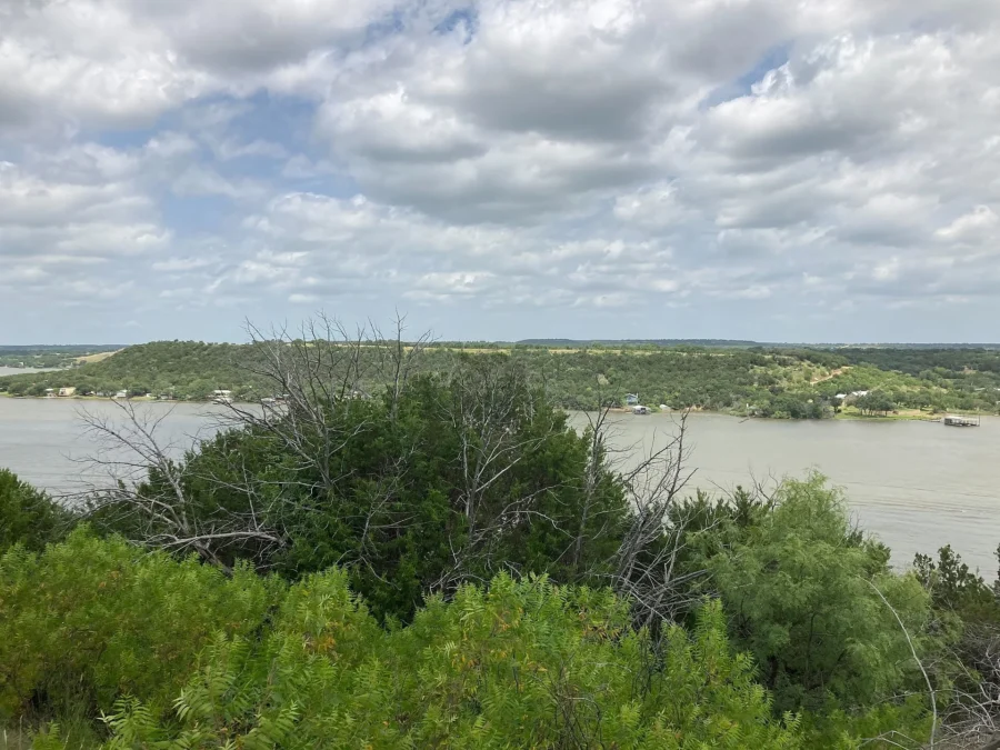 Possum Kingdom State Park 80 Possum Kingdom Lake seen past shrubs and a weathered tree from the shore, Possum Kingdom State Park, Texas
