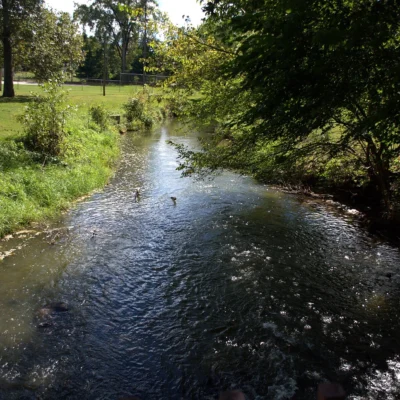 Potato Creek State Park