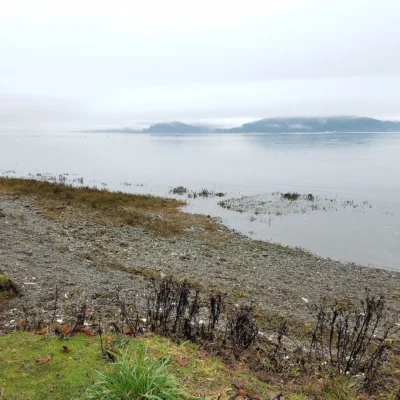 Potlatch State Park