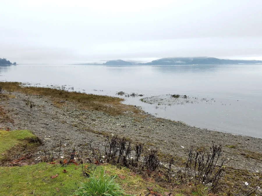 Potlatch State Park 113 Potlatch State Park (Washington)