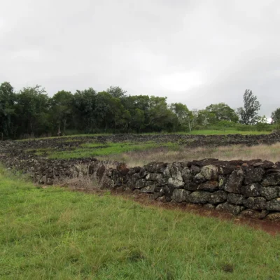 PuΚ»u o Mahuka Heiau State Monument