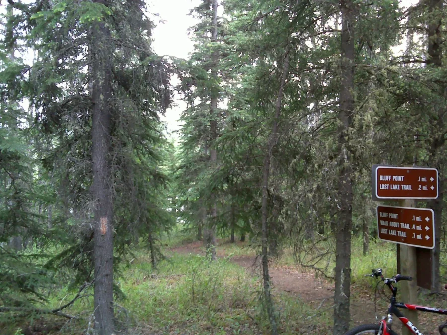 Quartz Lake State Recreation Area (Alaska)