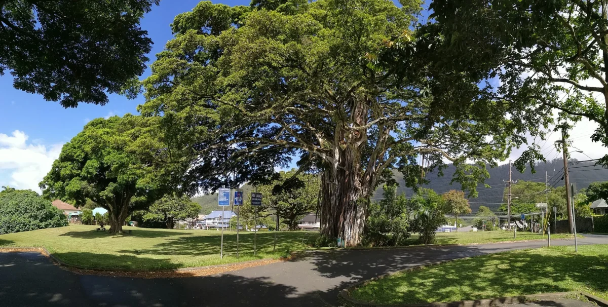 Queen Emma Summer Palace 50 Queen Emma Summer Palace (Hawaii)