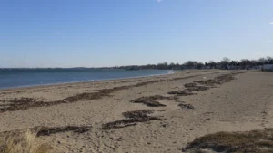 Quincy Shores Reservation