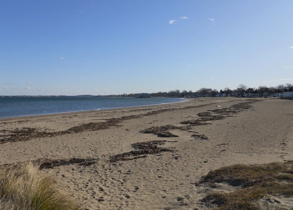 Quincy Shores Reservation (Massachusetts)