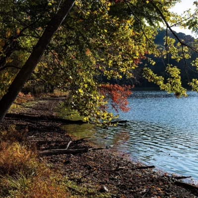 Radnor Lake State Park