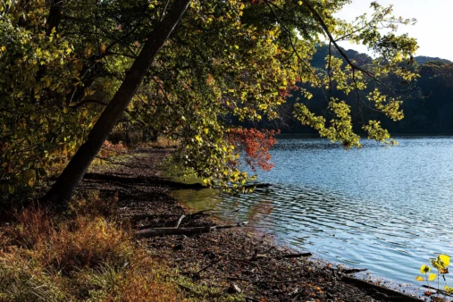 Radnor Lake State Park 53 Radnor Lake shoreline under autumn trees in low sun, Radnor Lake State Park, Tennessee