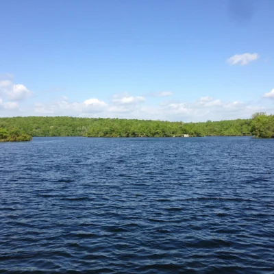 Ramapo Mountain State Forest