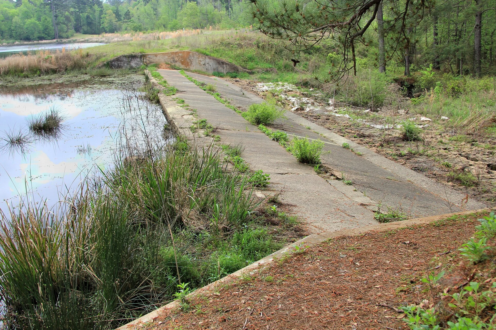 Ratcliff Lake Recreation Area