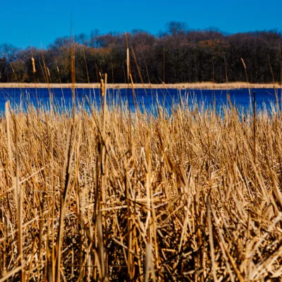 Rice Lake State Park