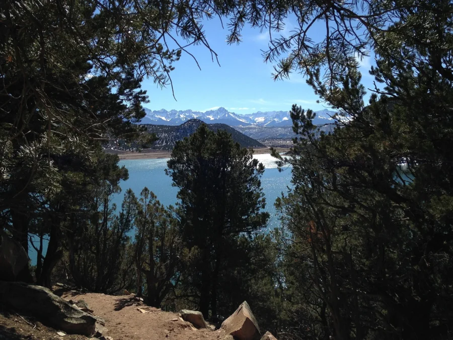 Ridgway State Park 7 Ridgway Reservoir seen through trees in Ridgway State Park, Colorado