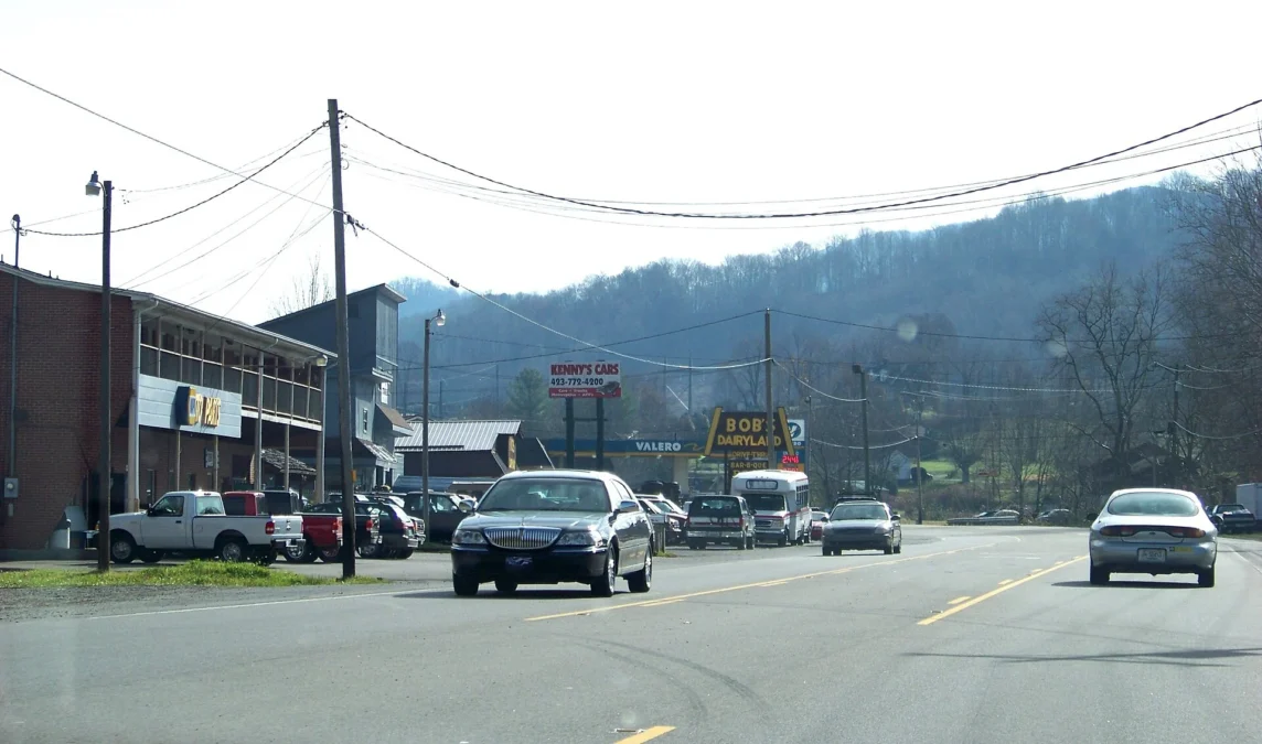 Roan Mountain State Park (Tennessee)