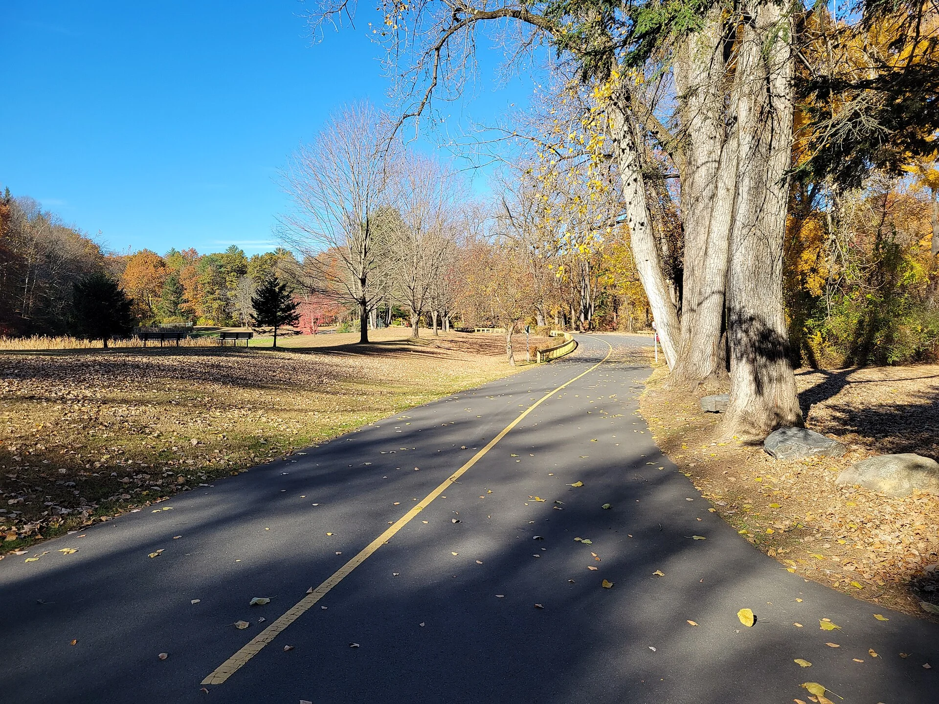 Robinson State Park