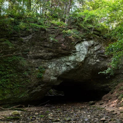 Rock Bridge Memorial State Park