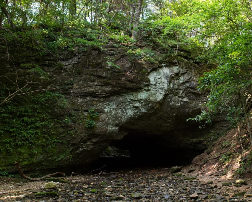 Rock Bridge Memorial State Park (Missouri)