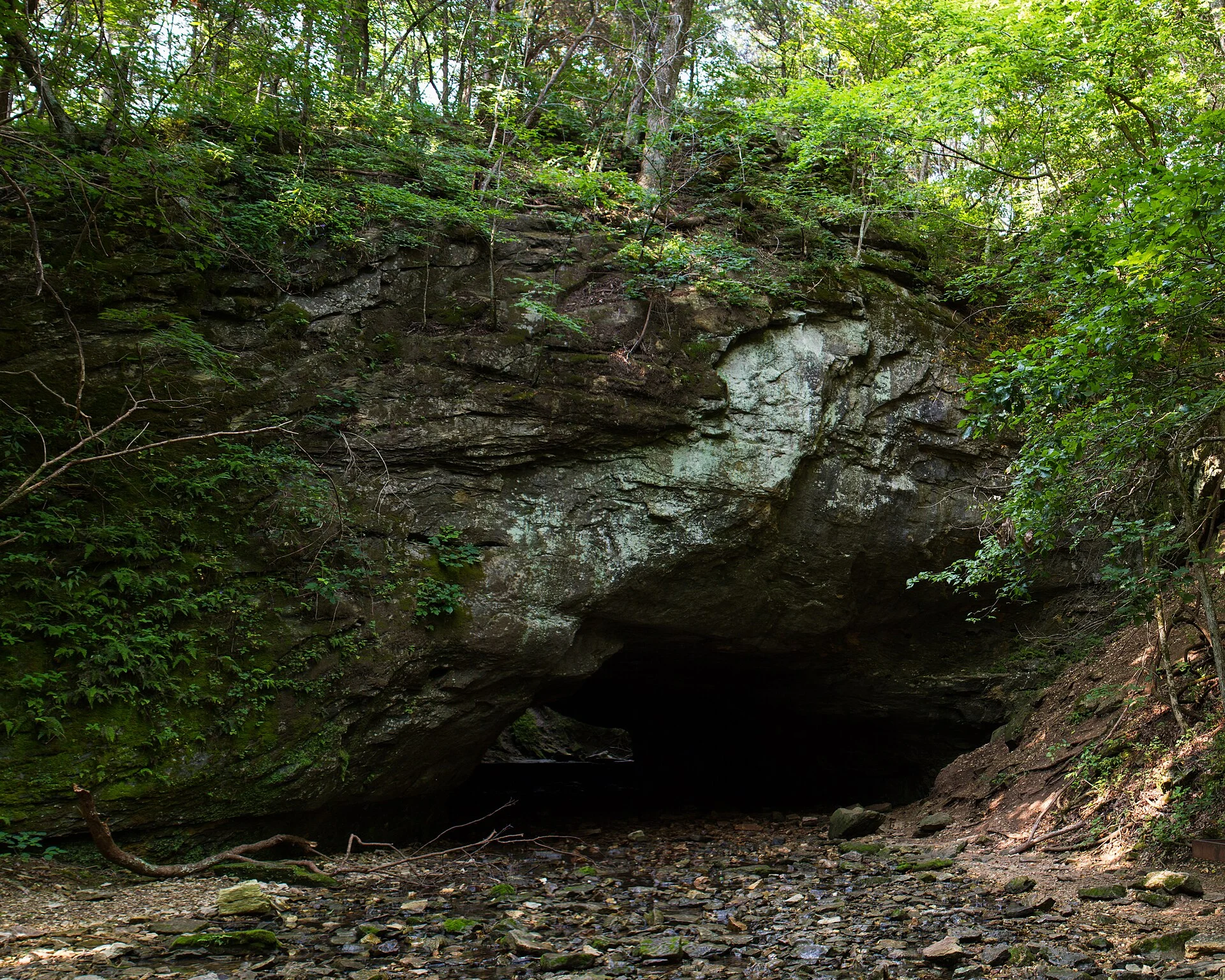 Rock Bridge Memorial State Park