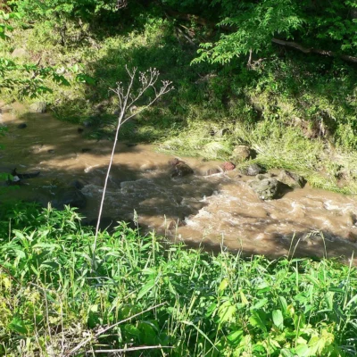 Rock Creek Station SHP