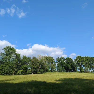 Rockefeller State Park Preserve