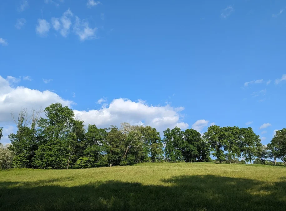 Rockefeller State Park Preserve 118 Open meadow and trees along the Farm Meadow Trail in Rockefeller State Park Preserve, New York