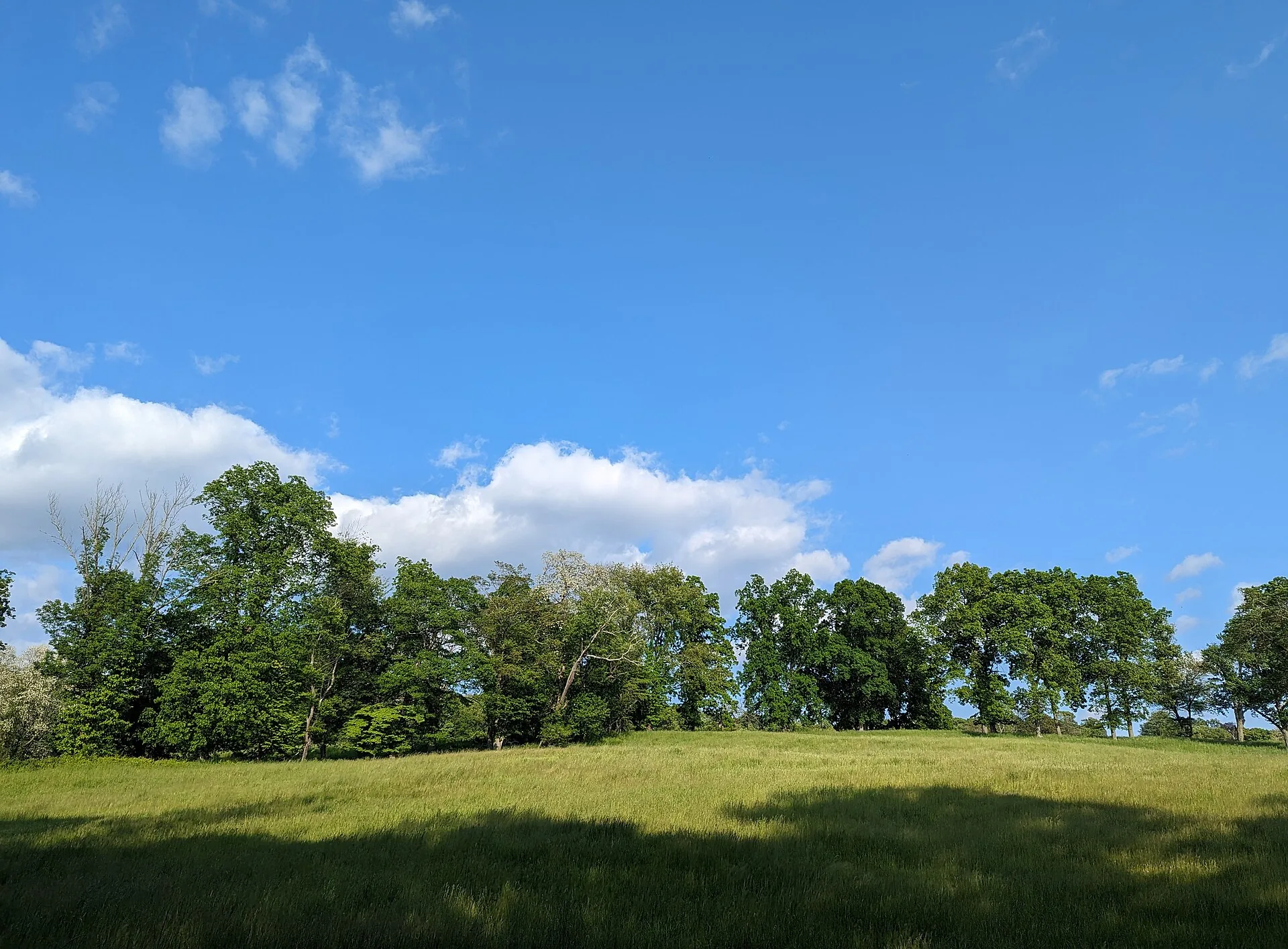 Rockefeller State Park Preserve