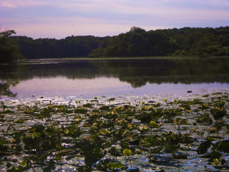 Rockwood State Park (Illinois)