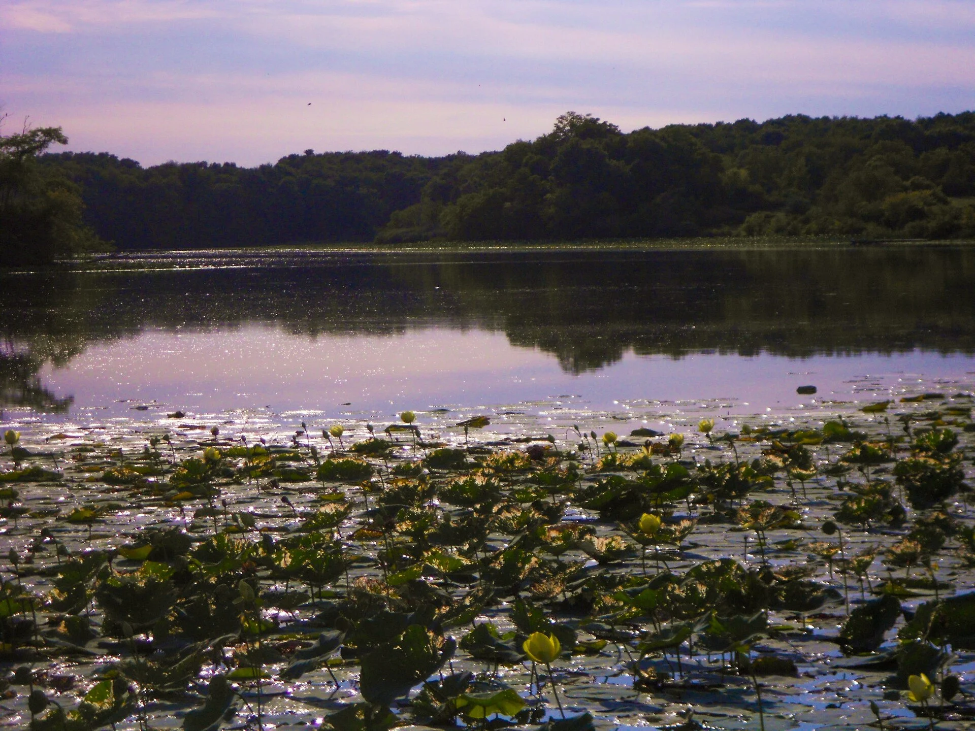 Rockwood State Park