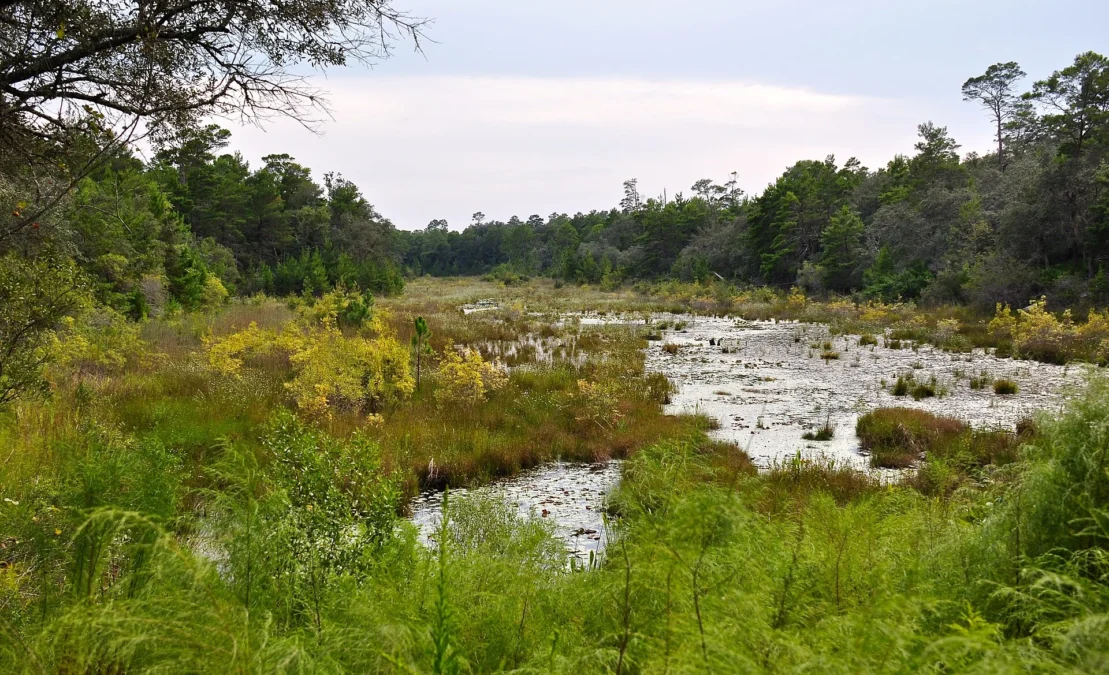 Rocky Bayou State Park 85 Rocky Bayou State Park (Florida)