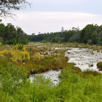 Rocky Bayou State Park