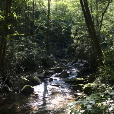 Rocky Fork State Park