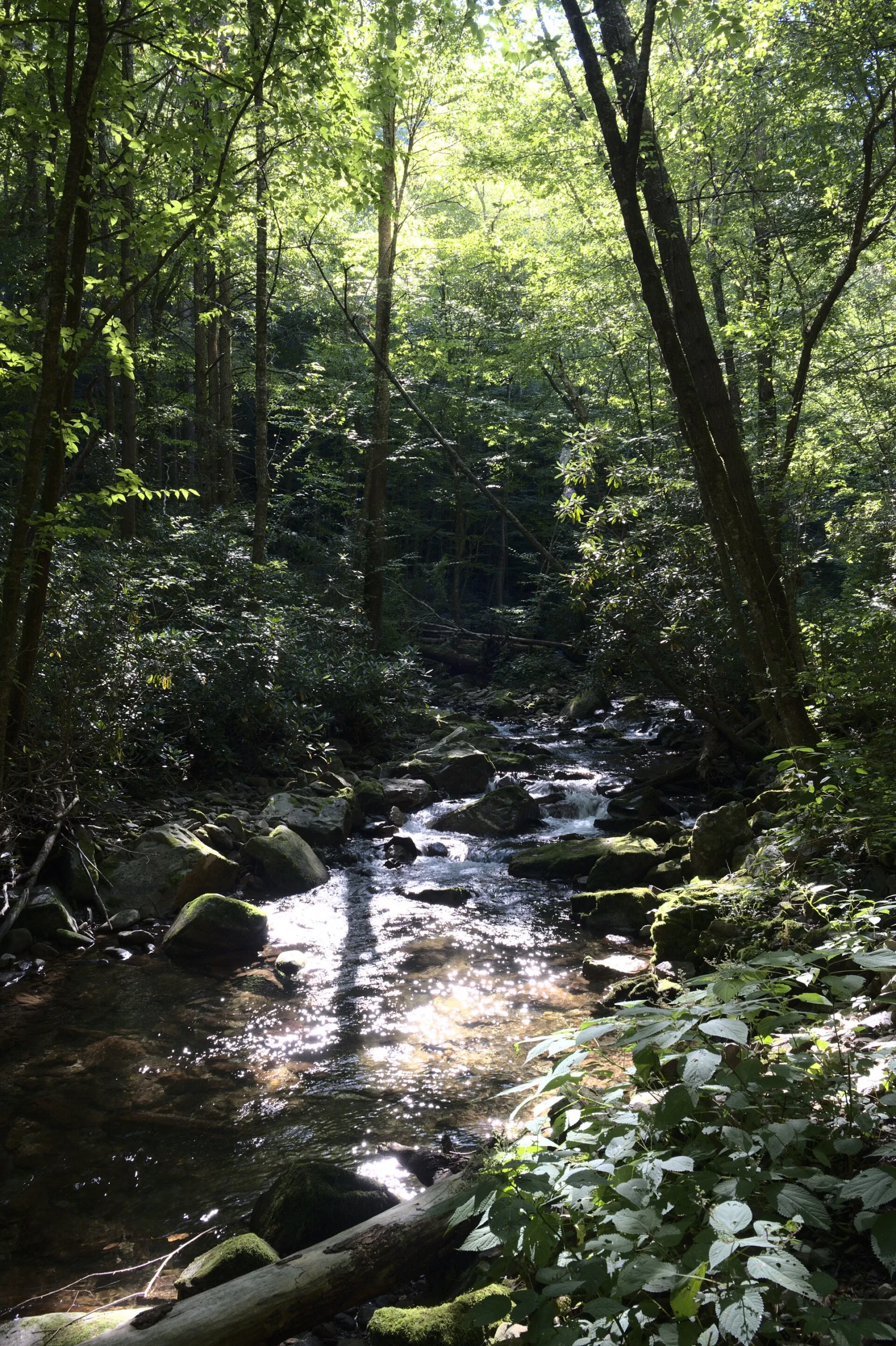 Rocky Fork State Park