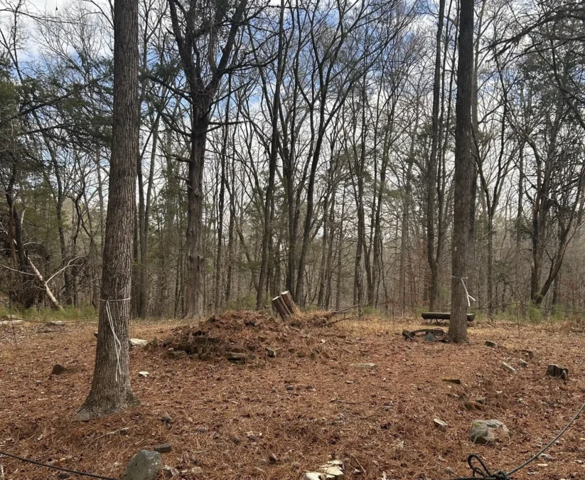 Rose Hill Plantation State Historic Site (South-Carolina)