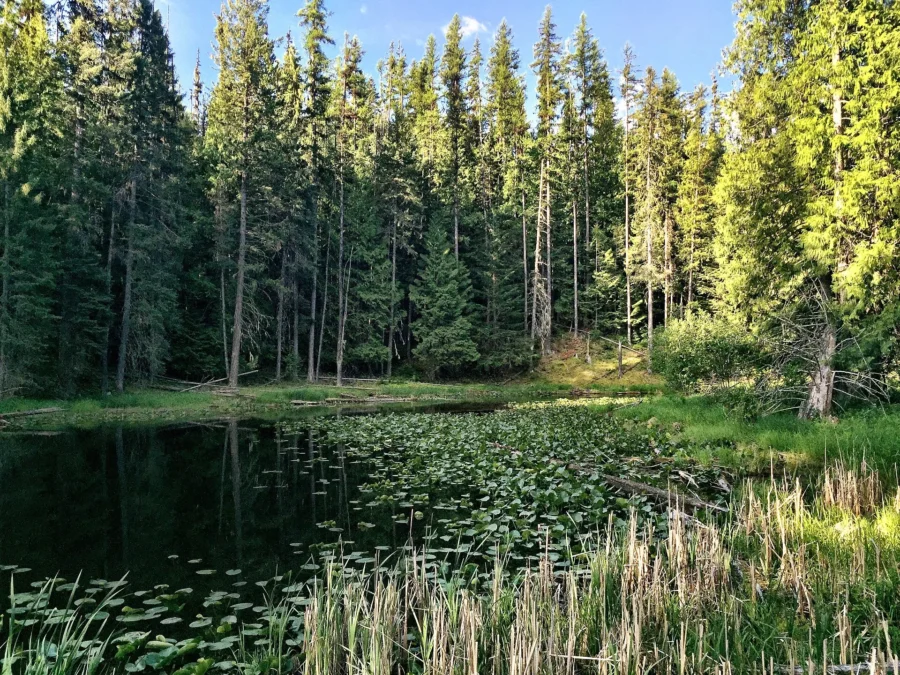 Round Lake State Park 5 Round Lake State Park (Idaho)