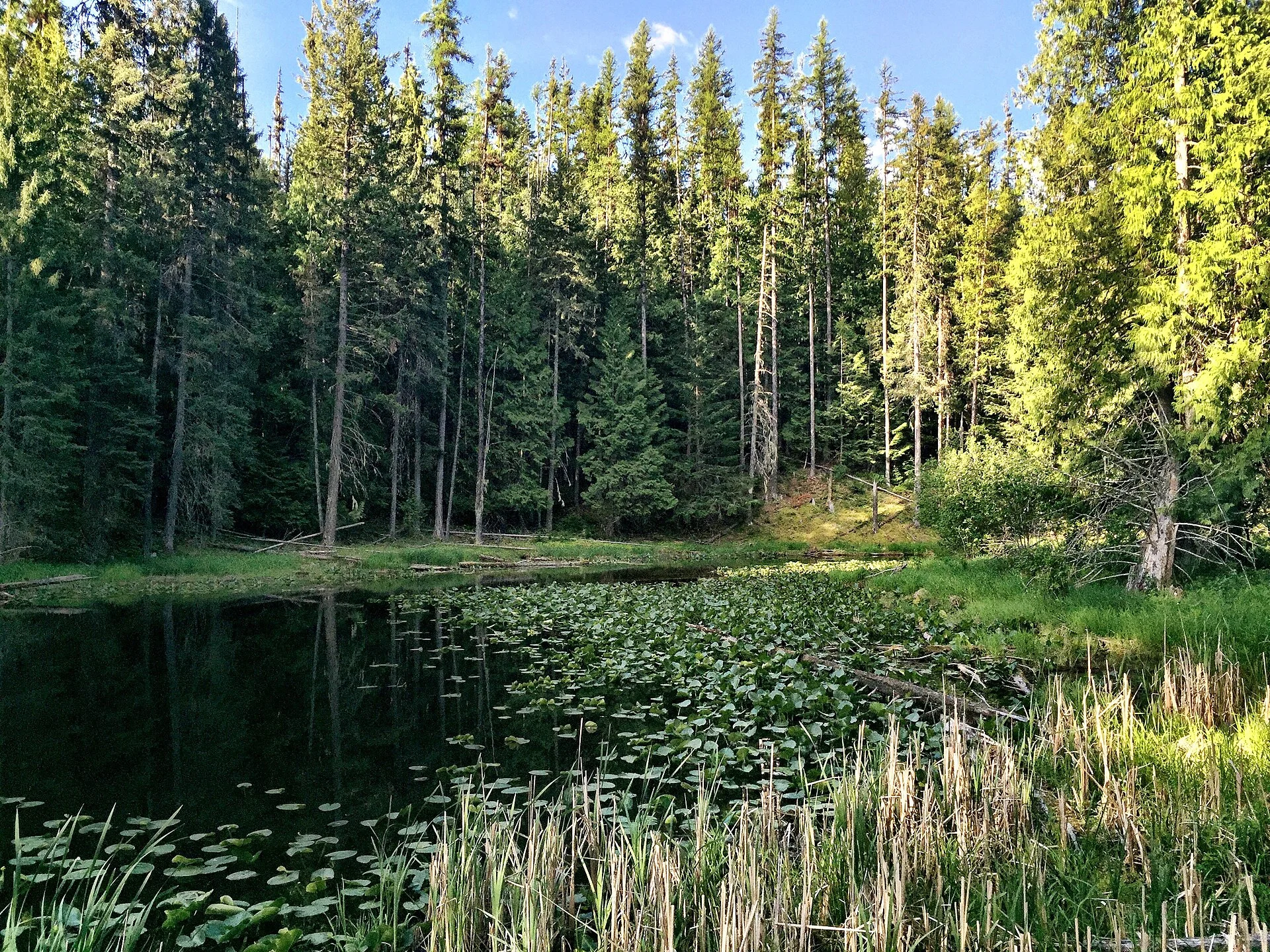 Round Lake State Park