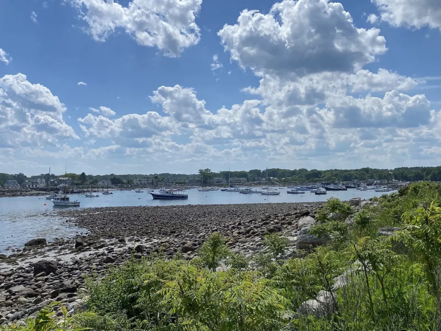 Rye Harbor State Park 16 Rocky shore and Rye Harbor next to Rye Harbor State Park, New Hampshire