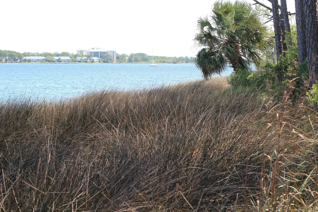 Saint Andrews State Park (Florida)