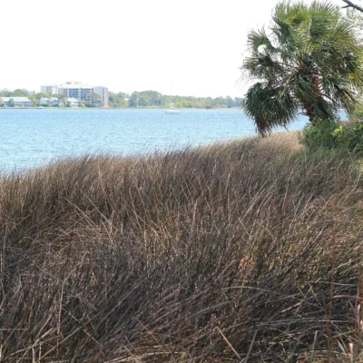 Saint Andrews State Park