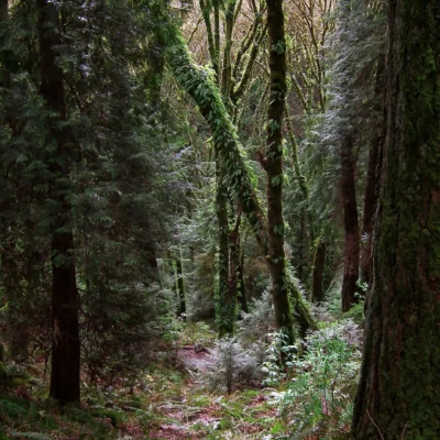 Saint Edwards State Park