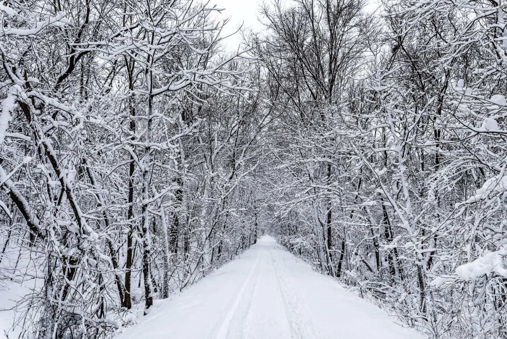 Sakatah Singing Hills State Trail (Minnesota)