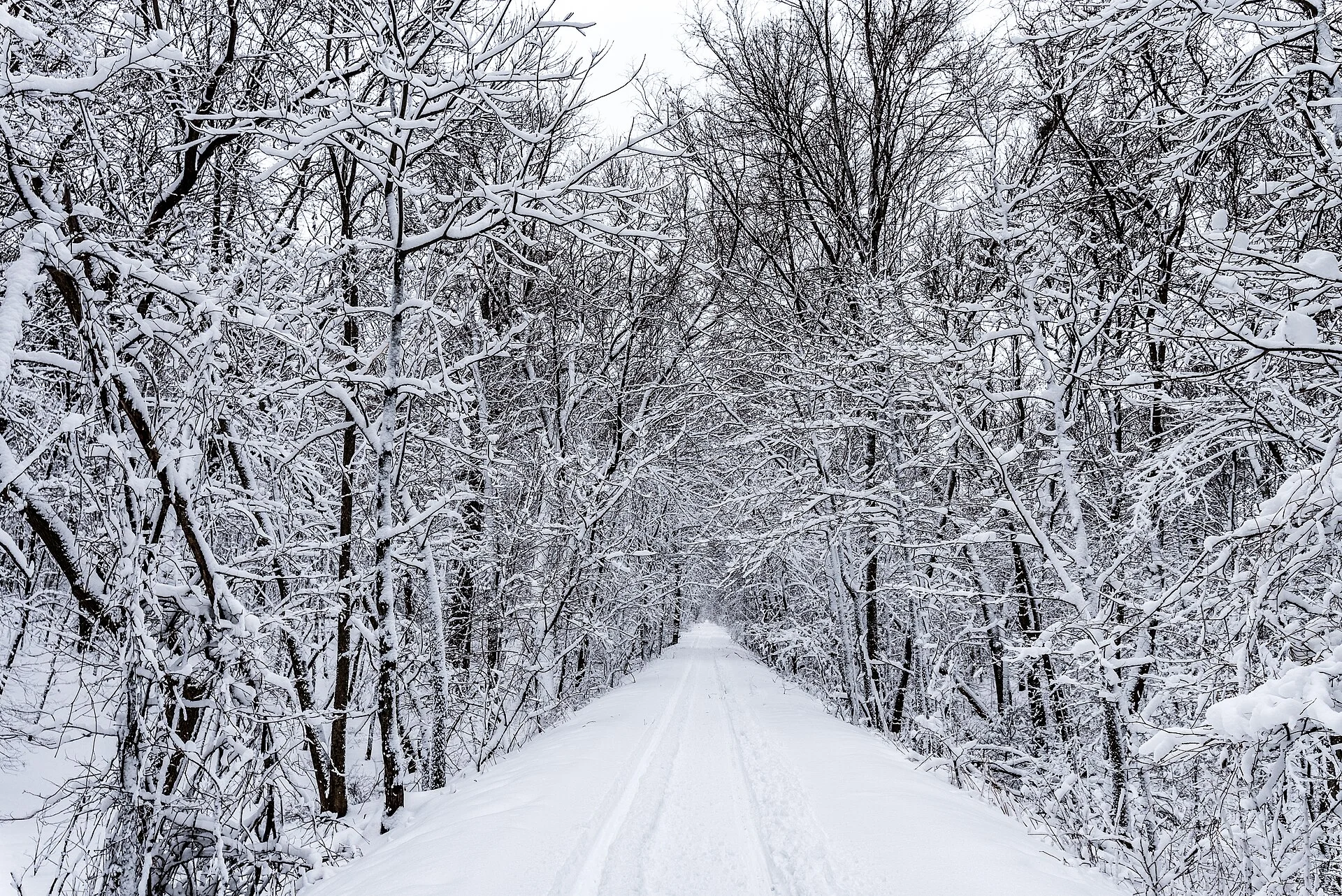 Sakatah Singing Hills State Trail