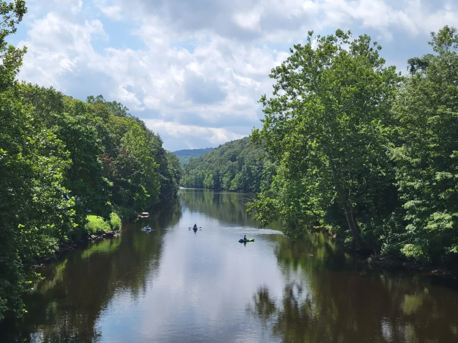 Salmon River State Forest (Connecticut)