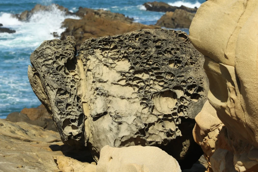 Salt Point State Park (California)