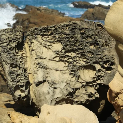 Salt Point State Park