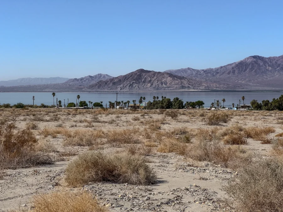 Salton Sea State Recreation Area (California)