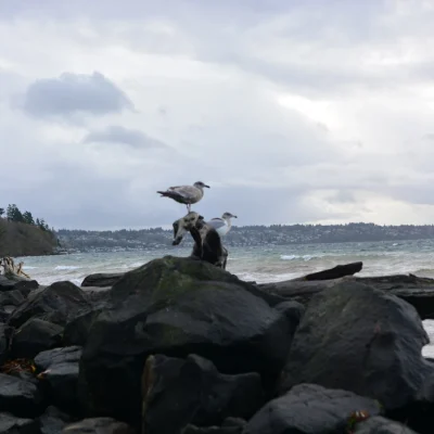 Saltwater State Park