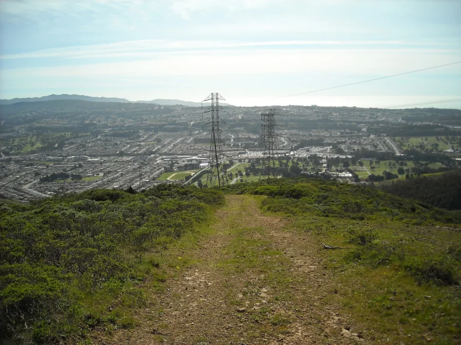 San Bruno Mountain State Park 205 San Bruno Mountain State Park (California)