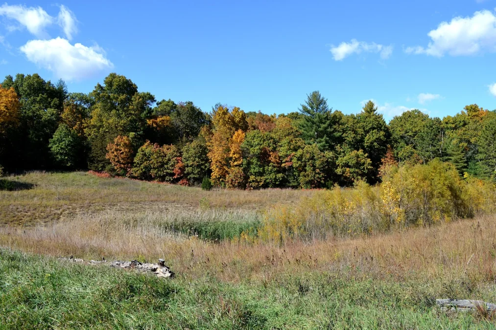 Sand Ridge State Forest (Illinois)