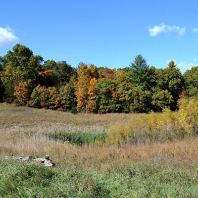 Sand Ridge State Forest