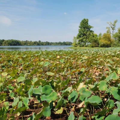 Sangchris Lake State Park